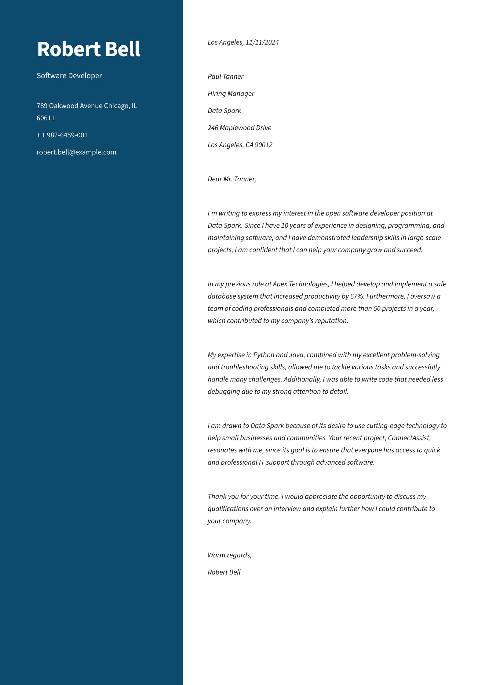 Software Developer