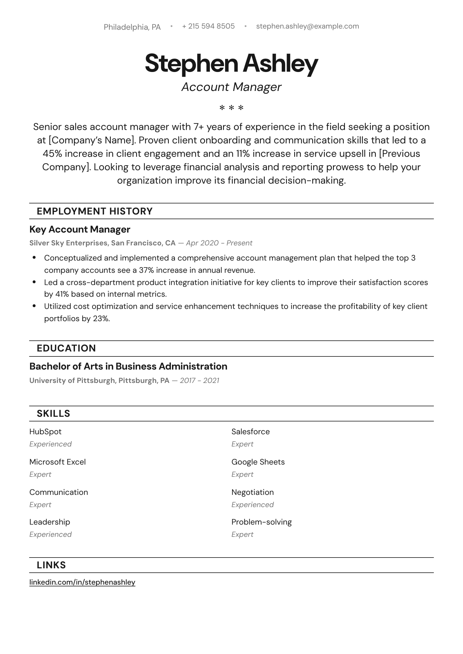 Account Manager Resume Example