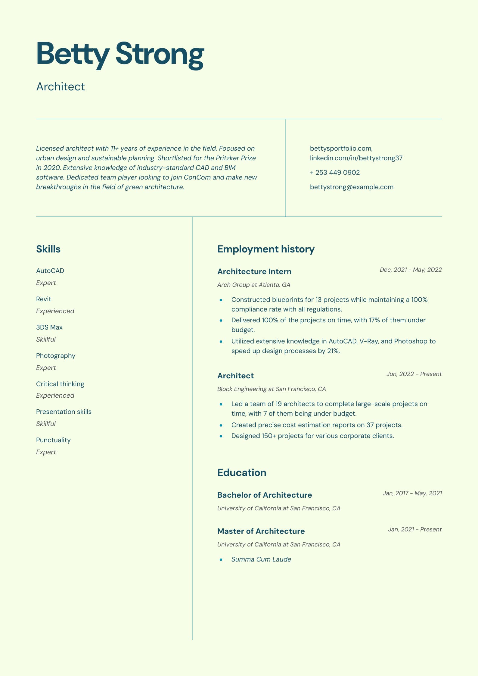 Architect Resume Example