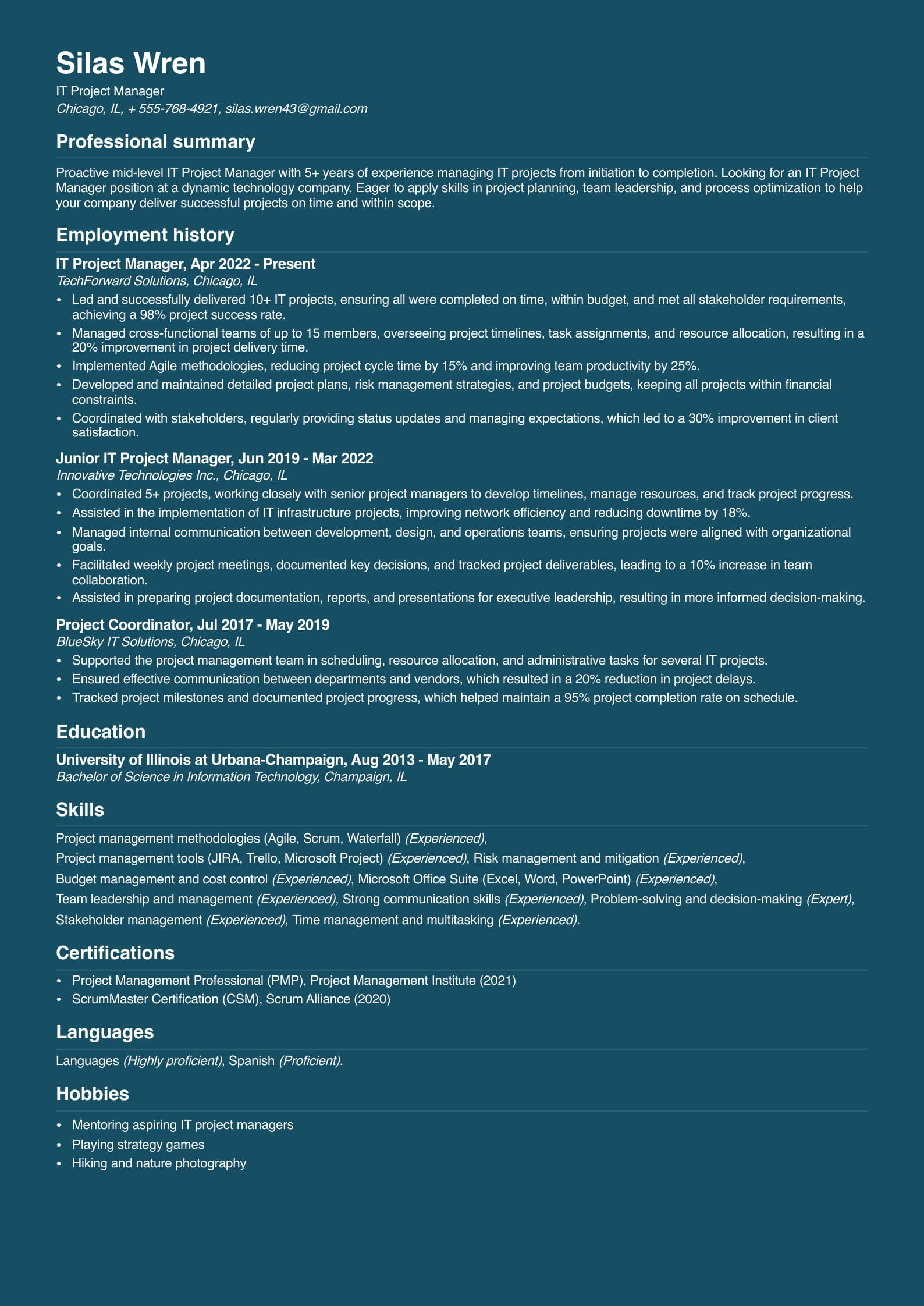 IT Project Manager