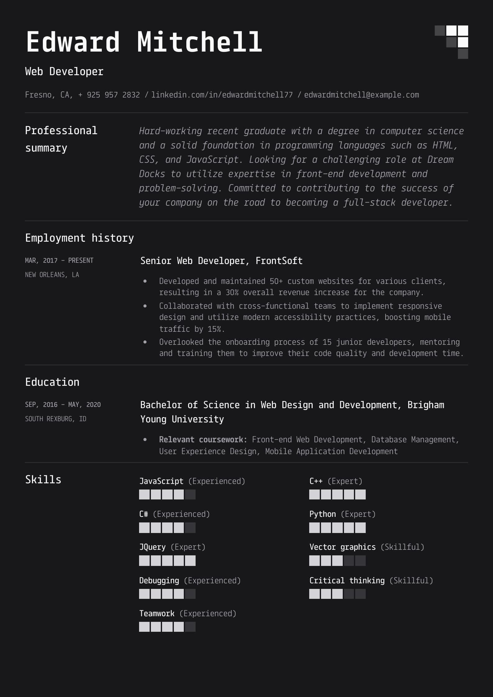 Excellent Web Developer Resume Example