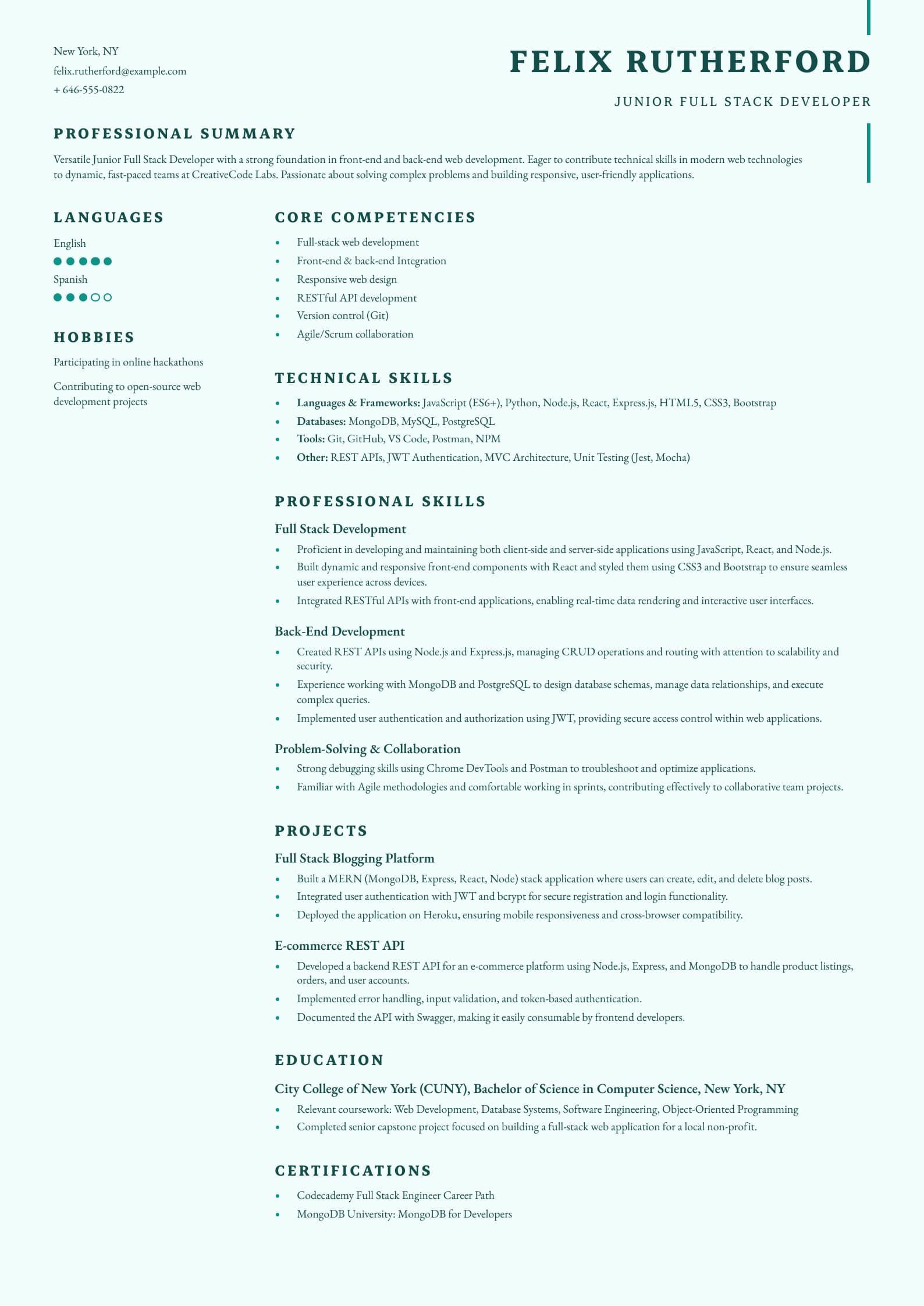 Junior Full Stack Developer