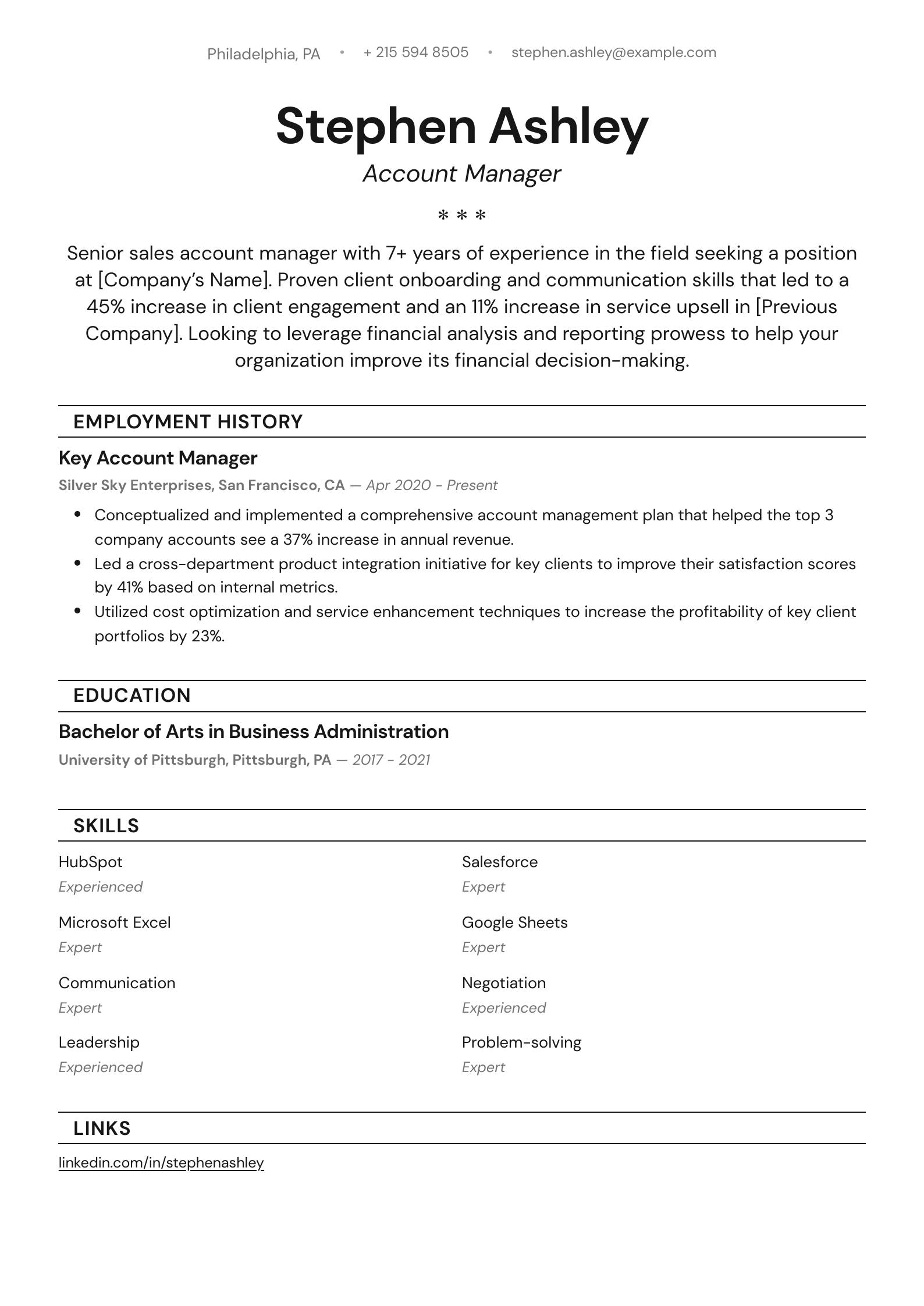 Account Manager Resume Example